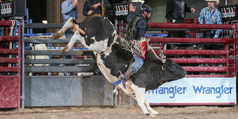 American Royal