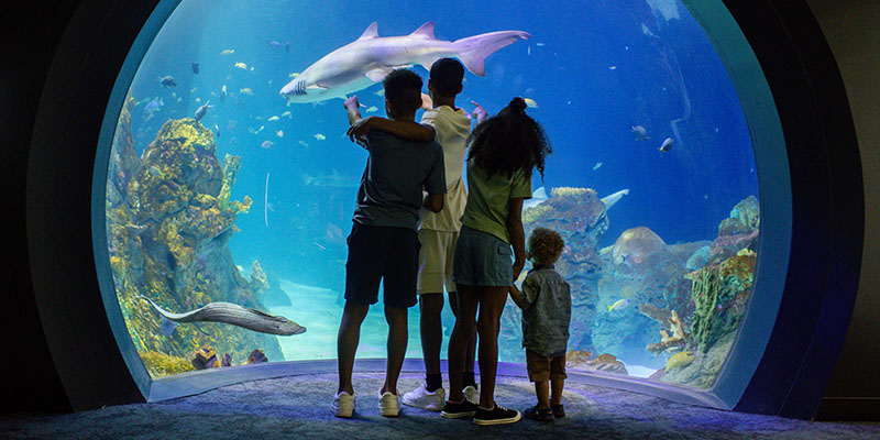 Family at Sobela Ocean Aquarium