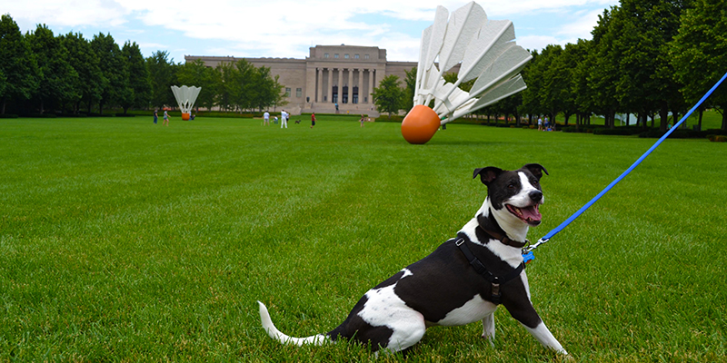 The Nelson-Atkins Museum of Art