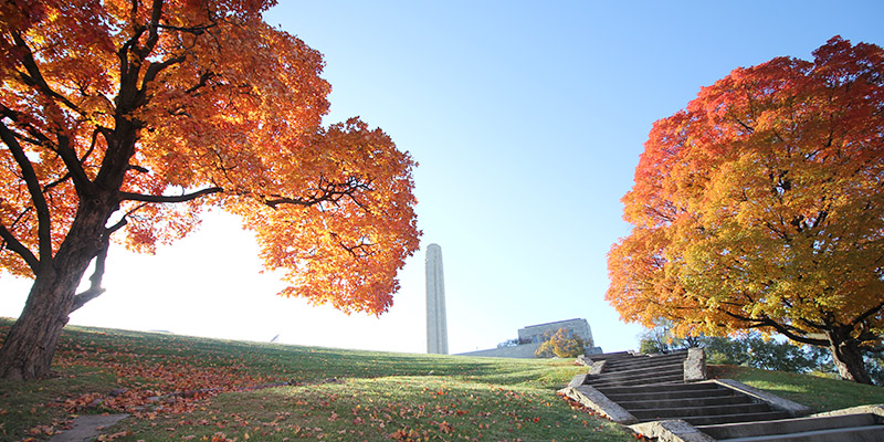 Fall Leaves WWI Museum
