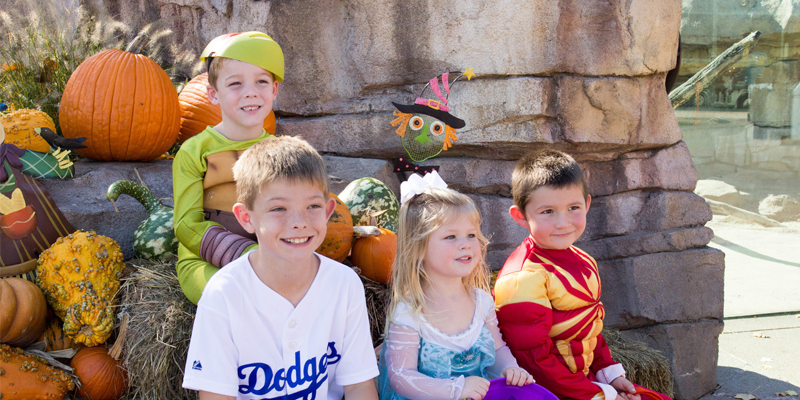 annual events in kansas city, boo at the zoo