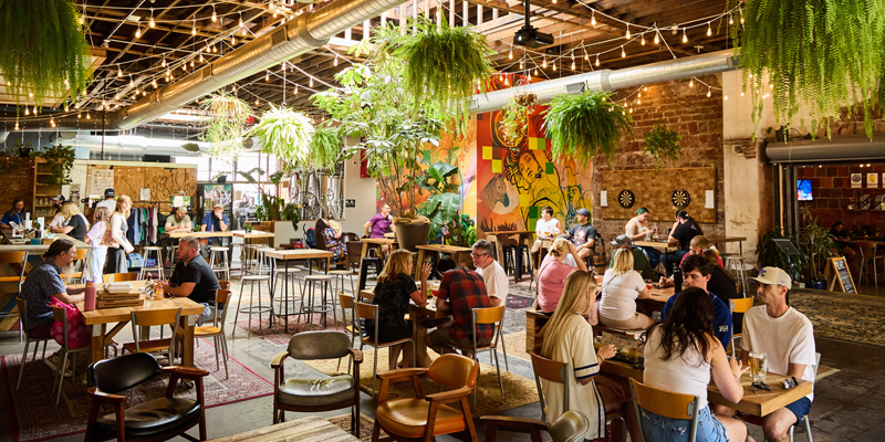 Casual Animal Brewing Co. in the East Crossroads