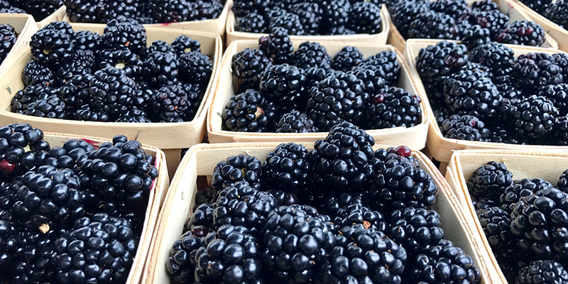 Overland Park Farmers Market