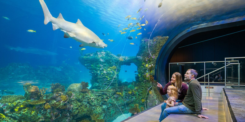 fun things to do with kids in kansas city